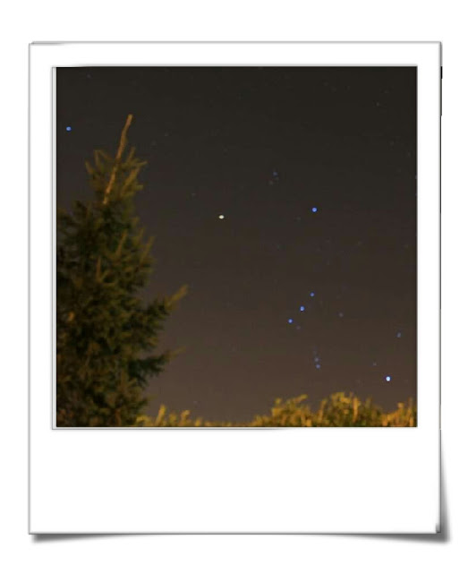 My sons photograph of orion constellation in night sky with tree