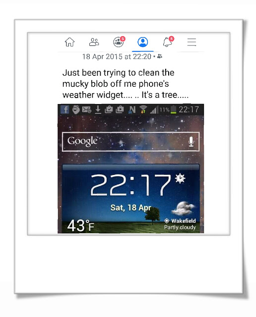 Photograph of a phone screen sky and tree background with the words  'just been trying to wipe the mucky blob off me phone screens weatherproof widget... It's a tree' 

